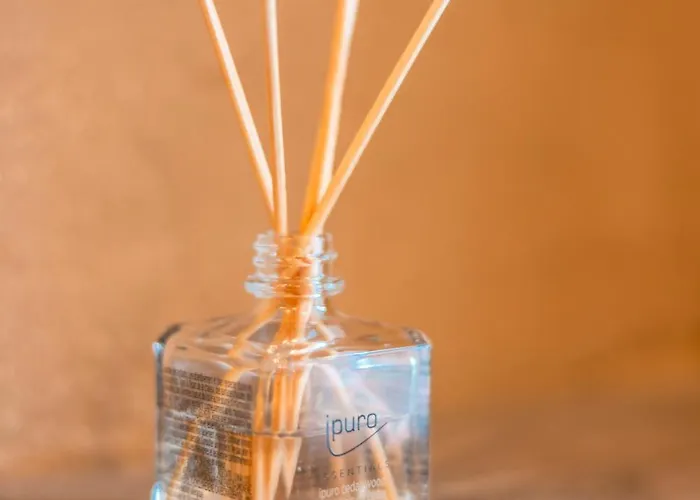 Cosy Altstadt- Parkplatz-garten-wlan Daire