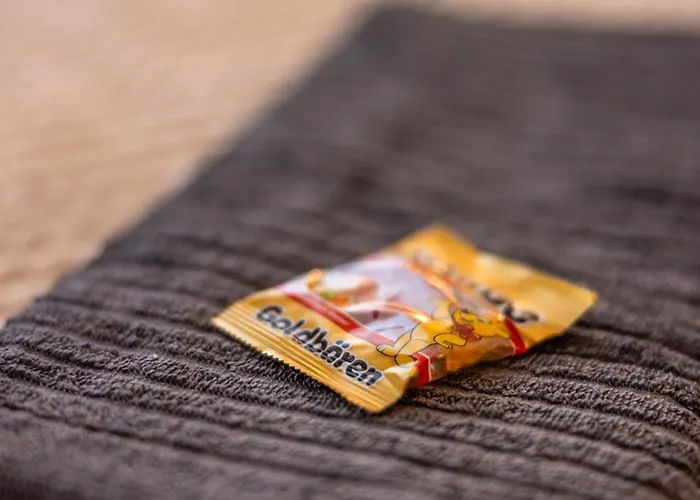 Cosy Altstadt- Parkplatz-garten-wlan Erfurt